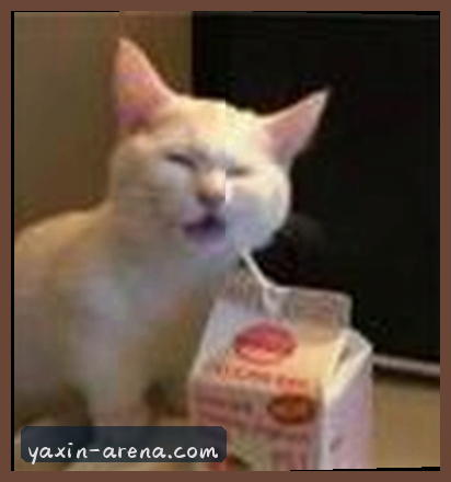 赵敏