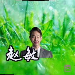 赵敏